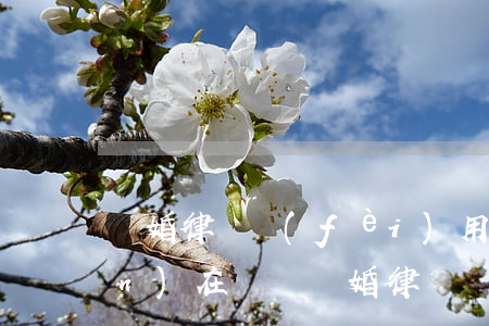 離婚律師費(fèi)用怎么收(現(xiàn)在訴訟離婚律師費(fèi)用怎么收)