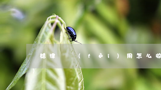 離婚律師費(fèi)用怎么收費(fèi)