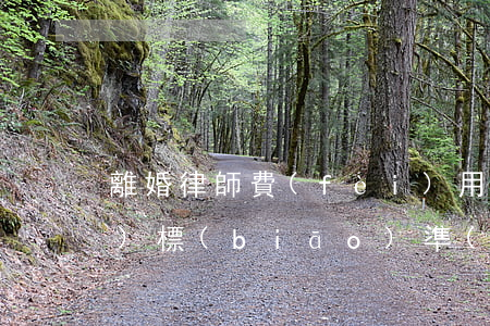 離婚律師費(fèi)用怎么收費(fèi)標(biāo)準(zhǔn)(離婚律師費(fèi)用怎么收費(fèi)標(biāo)準(zhǔn))