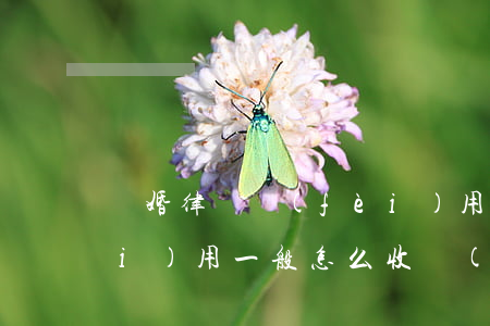 離婚律師費(fèi)用(離婚律師費(fèi)用一般怎么收費(fèi))