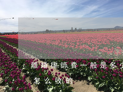 離婚律師費一般是多少錢(離婚律師費用一般怎么收的)