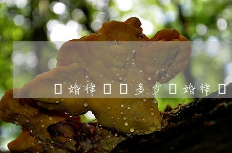 離婚律師費多少(離婚律師費多少錢2021)