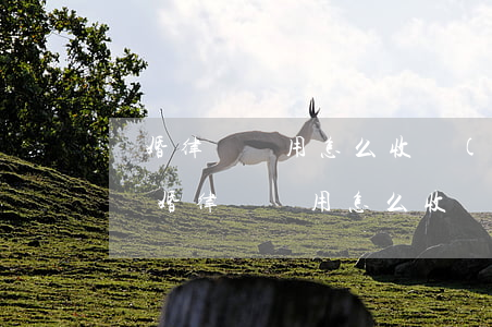 離婚律師費用怎么收(現(xiàn)在訴訟離婚律師費用怎么收)