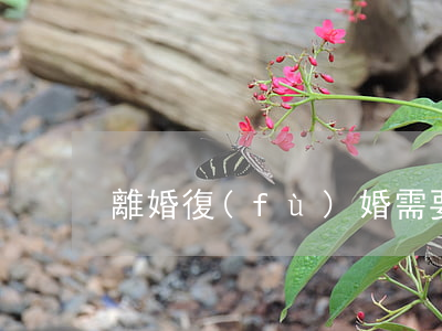 離婚復(fù)婚需要什么手續(xù)