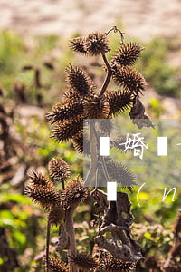 離婚復婚后財產(chǎn)公證有用嗎(婚內(nèi)財產(chǎn)公證后離婚更簡單)
