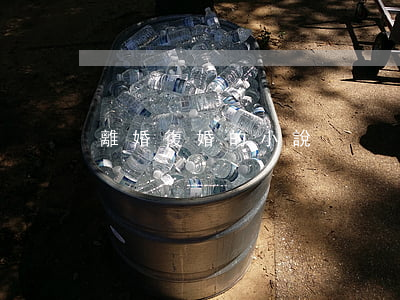 離婚復婚的小說