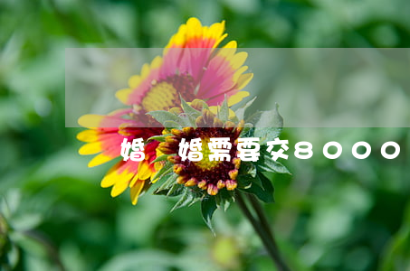 離婚復婚需要交8000(離婚后復婚收多少費)