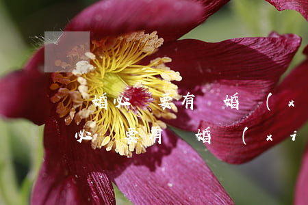 離婚必須要有離婚協(xié)議書嗎(離婚必須要有離婚協(xié)議書嗎?怎么寫)