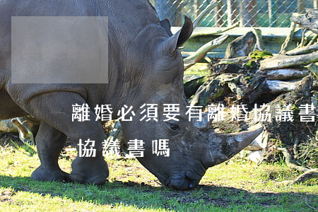 離婚必須要有離婚協議書嗎(離婚必須簽離婚協議書嗎)