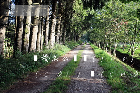 離婚怎么凍結(jié)對(duì)方財(cái)產(chǎn)(離婚凍結(jié)財(cái)產(chǎn)怎么解凍)
