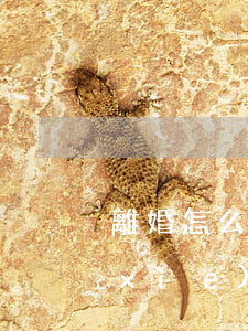 離婚怎么寫協(xié)議無孩子(離婚協(xié)議書沒有子女怎么寫)
