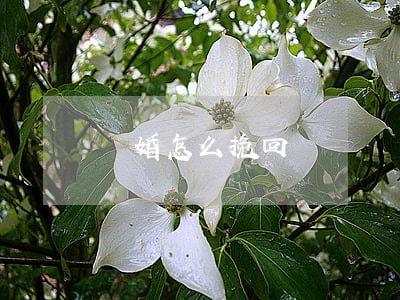 離婚怎么挽回