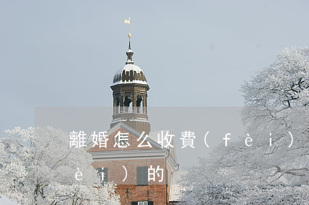 離婚怎么收費(fèi)(離婚怎么收費(fèi)的)