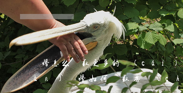 離婚怎么爭取更多的財(cái)產(chǎn)(離婚如何爭取房產(chǎn))