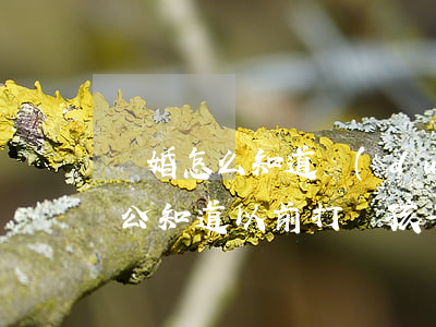 離婚怎么知道對(duì)方把孩子打了(老公知道以前打過孩子怎么辦)