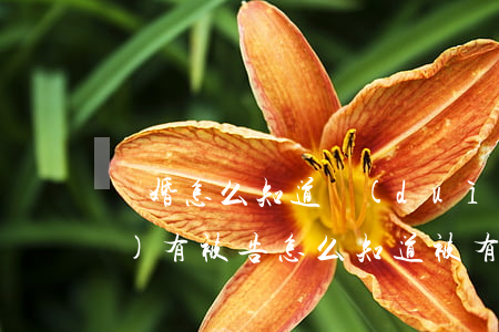 離婚怎么知道對(duì)方有沒(méi)有被告(怎么知道被有沒(méi)有被起訴離婚)