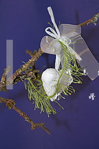 離婚怎么請(qǐng)律師打官司(找律師打離婚官司需要多少錢)