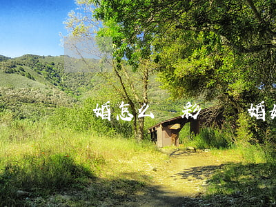 離婚怎么還彩禮(離婚如何要回彩禮)