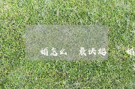 離婚怎么離最快(起訴離婚怎么離最快)