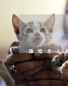 離婚怎么離(現(xiàn)在離婚怎么離)
