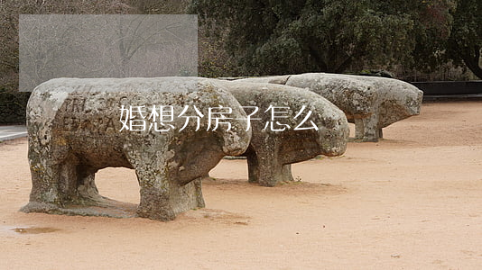 離婚想分房子怎么辦