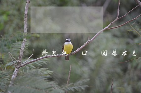 離婚想把戶口遷回娘家怎么辦