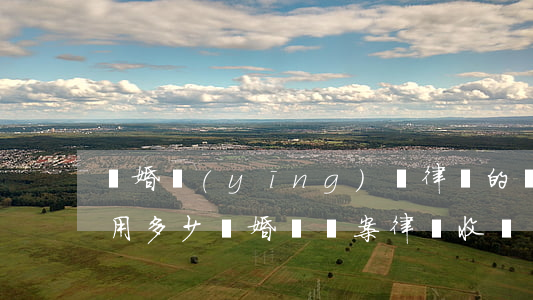 離婚應(yīng)訴律師的費(fèi)用多少(離婚訴訟案律師收費(fèi)標(biāo)準(zhǔn))