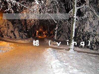 離婚應(yīng)該找什么律師(離婚找律師嗎)