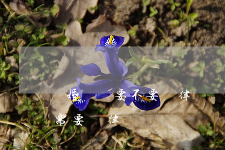 離婚應訴要不要請律師(離婚原告請律師,被告需要請律師嗎)