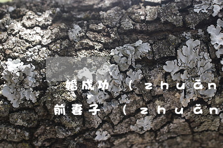 離婚成功轉(zhuǎn)移存款案例(離婚前妻子轉(zhuǎn)移家庭存款怎么辦)