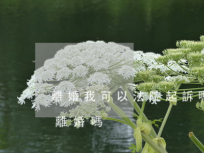 離婚我可以法院起訴嗎(可以直接去法院起訴離婚嗎?)