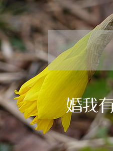 離婚我有億萬家