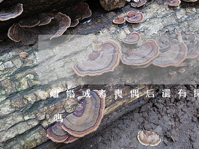 離婚或者喪偶后還有探親假嗎(配偶有探親假嗎)