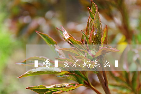 離婚戶主不好怎么辦