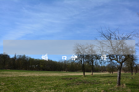離婚戶口分戶條件