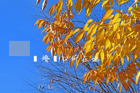 離婚 戶口所在地