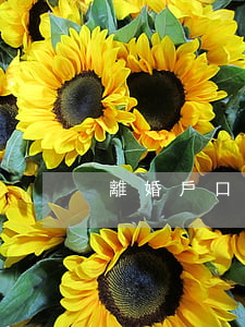 離婚戶口沒(méi)在身上怎么辦