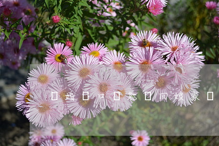 離婚戶口還能遷回娘家嗎