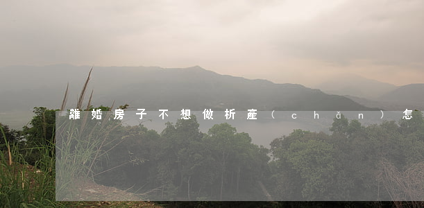 離婚房子不想做析產(chǎn)怎么辦