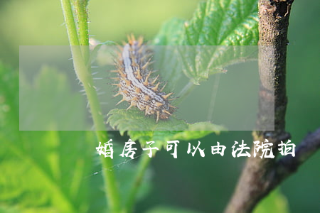 離婚房子可以由法院拍賣嗎(離婚房產拍賣吃虧嗎)