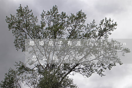 離婚房子有產(chǎn)權(quán)怎么辦