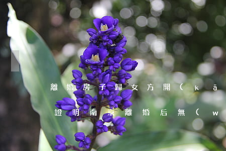離婚房子歸女方開(kāi)無(wú)房證明南京(離婚后無(wú)房證明怎么開(kāi))