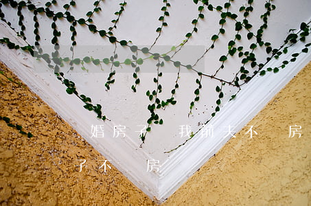 離婚房子歸我前夫不還房貸(準備離婚期間妻子不還房貸)