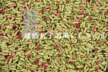 離婚房子的風(fēng)水