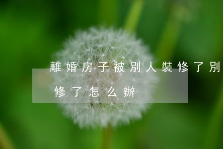 離婚房子被別人裝修了(別人把我家的房子裝修了怎么辦)