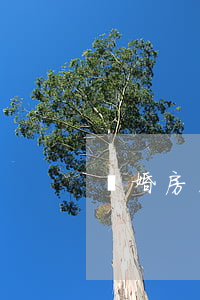 離婚房屋分割