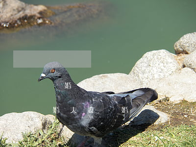 離婚房產(chǎn)再婚夫妻如何分割(再婚夫妻離婚時財產(chǎn)如何分割)