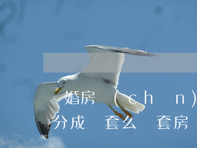 離婚房產(chǎn)分割可以將一套房子分成兩套么(兩套房離婚怎么分)