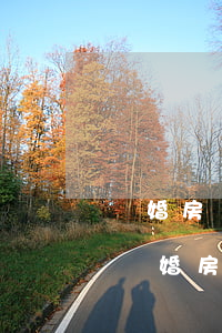 離婚房產(chǎn)分割案律師如何收費，離婚房產(chǎn)分割案律師如何收費是先交錢嗎