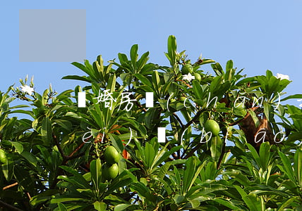 離婚房產(chǎn)打官司律師收費(fèi)標(biāo)準(zhǔn)(打房產(chǎn)官司律師收費(fèi)標(biāo)準(zhǔn)是多少)